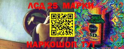 молекула духа Донской