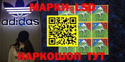 Альфа ПВП Донецк