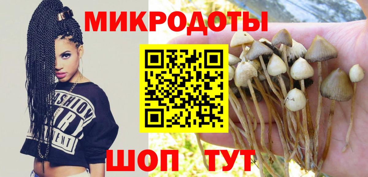 Галлюциногенные грибы мухоморы  Псилоцибиновые грибы мухоморы  Вход с VPN  Нерюнгри 